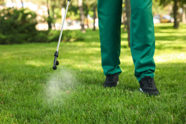 Best Exterminator Services  in Lexington, MS
