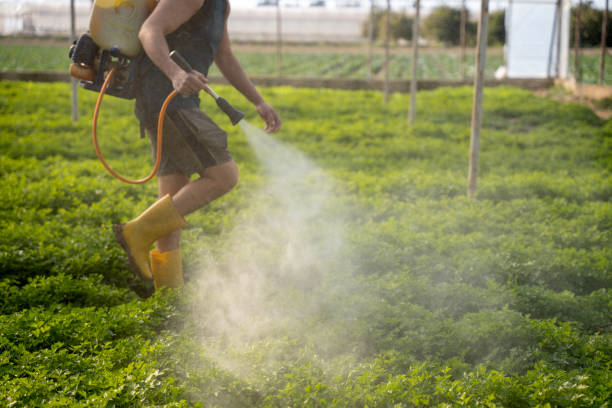 Best Insect Control  in Lexington, MS