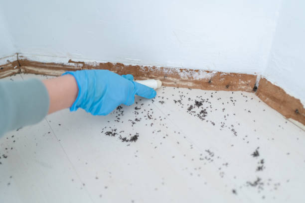 Pest Control for Restaurants in Lexington, MS